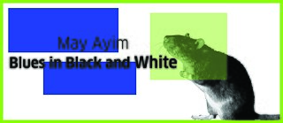 Book Klub: May Ayim’s “Blues in Black and White”	