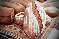 The stone oven bread of the organic Alpine Bakery