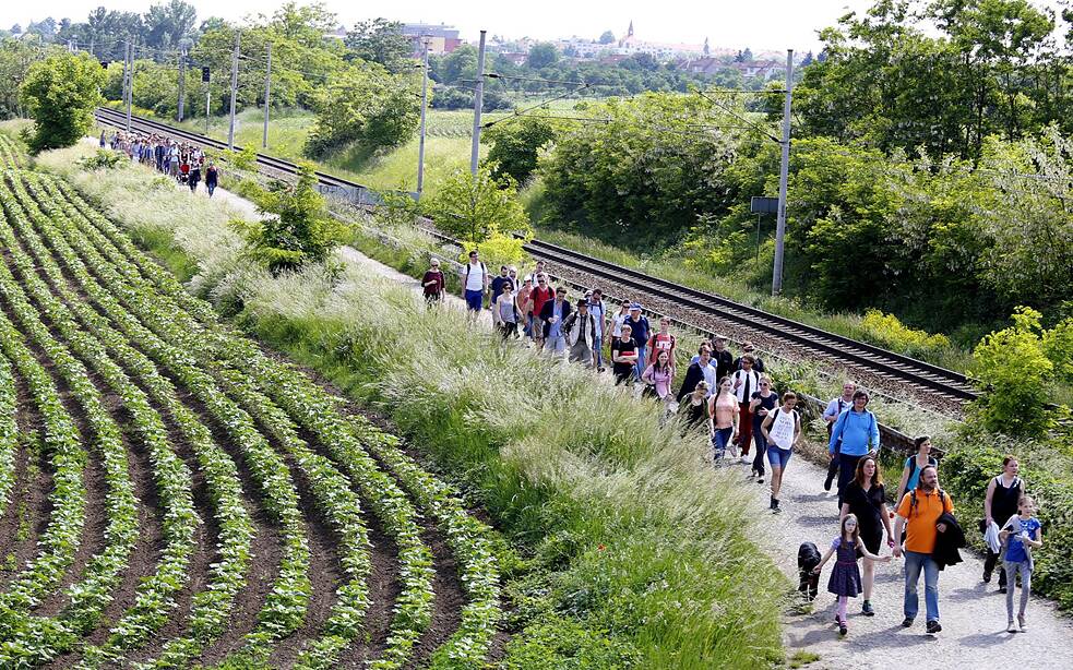 Gruppe von Menschen wandert an einem Feld entlang.