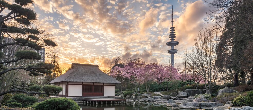 L’eleganza asiatica nel giardino giapponese. 