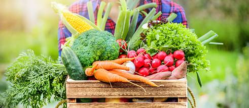 Almost everyone in the country has their own vegetable garden. City dwellers who have neither a garden nor a balcony can now have fresh vegetables regularly supplied by vegetable producers in the surrounding area.