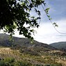 從作家拉斐爾･納瓦羅的房子俯瞰莫納奇爾山谷。
