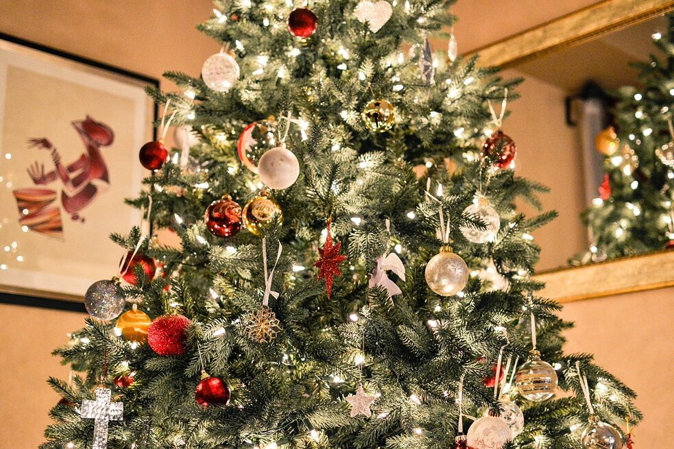 El árbol de Navidad - Oh Tannenbaum