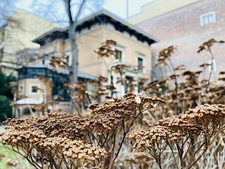 Il giardino della Li-Be in inverno