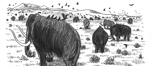 dessin d'un troupeau de mammouths