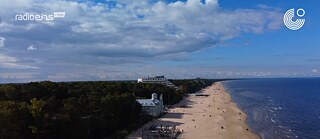 Luftaufnahme von einem Strand. Auf der linken Seite sieht man einen Wald auf der rechten das Meer.