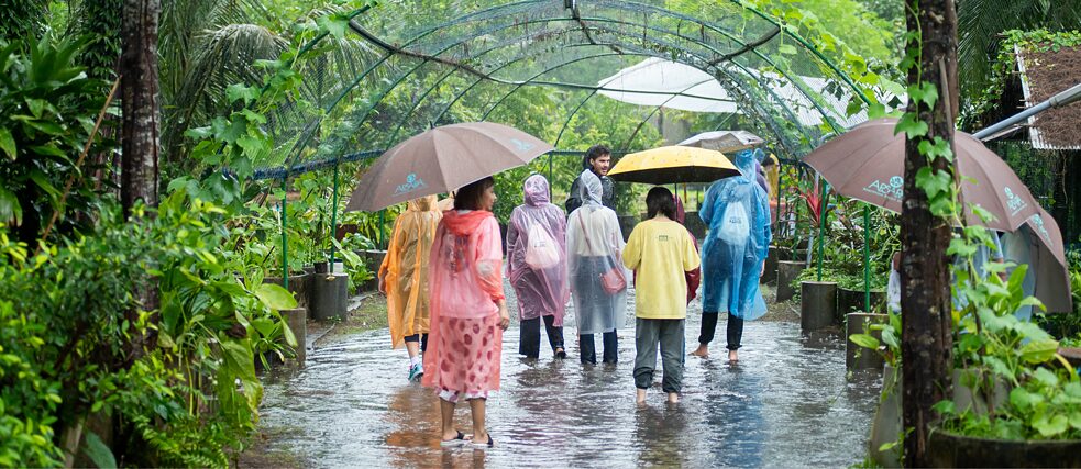 คนกลุ่มหนึ่งกำลังยืนจุ่มเท้าในน้ำในสวนป่าดงดิบ พร้อมเสื้อกันฝน