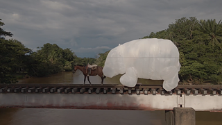 Globo con forma de hipopótamo