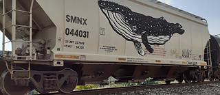Street-Art an Zügen MX