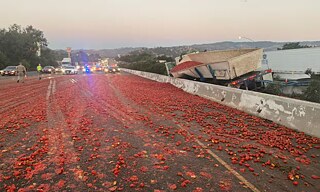 Tomaten in Kalifornien