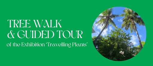Tree Walk_Travelling Plants