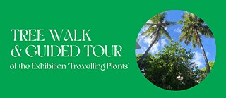 Tree Walk_Travelling Plants