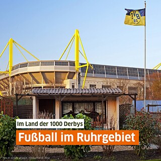 Ein Schrebergarten im Vordergrund, im Hintergrund das Westfalenstadion von Borussia Dortmund