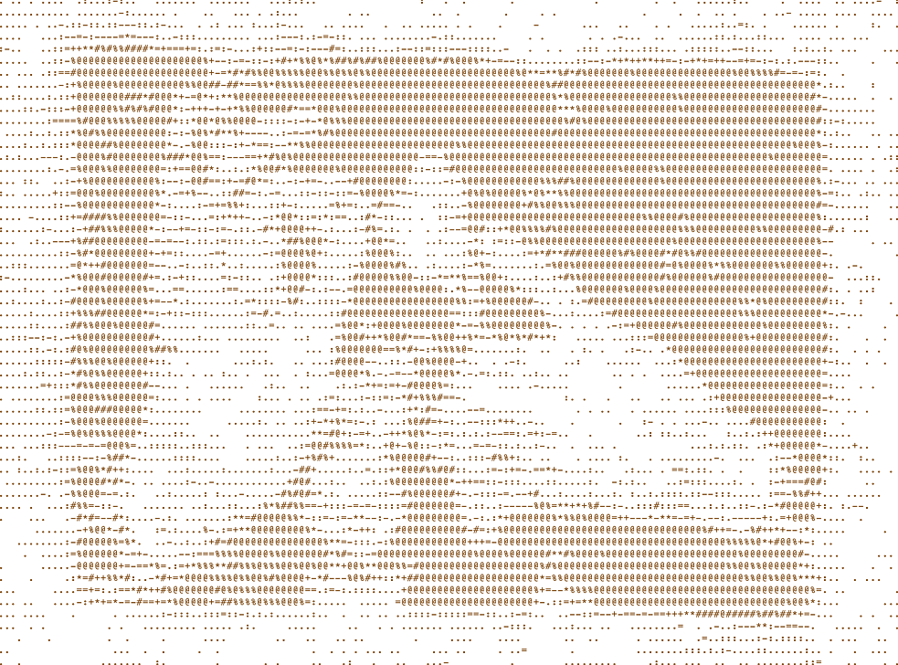 ASCII character art generated by Max Ferguson representing the burnt wool experiments of Sina Hensel