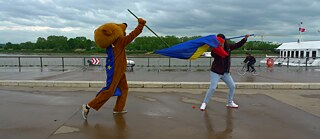 Photo is showing a man wearing a bear suit has the flag of the European Union on his back and playfully fights with a girl who has a different flag. 