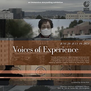 Title motive of the event "Voices of Experience"