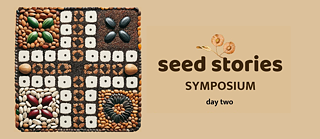 Seed Stories Day 2