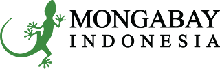 Mongabay Indonesia