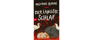 Book cover Melanie Raabe: Der längste Schlaf.