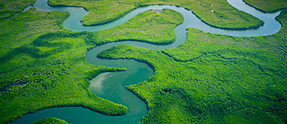 A wooded area with a natural river