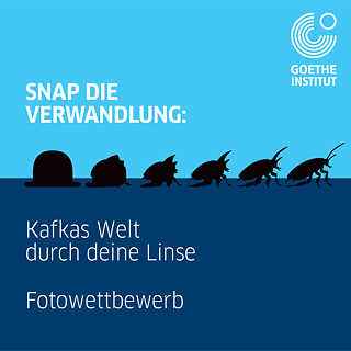 Snap die Verwandlung: Kafkas Welt durch deine Linse – Photo competition