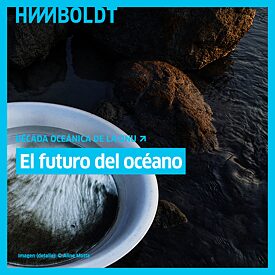 Revista Humboldt 