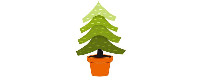 Christmas tree in a pot