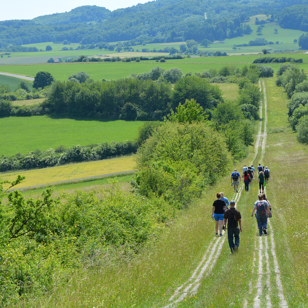 Landscapes of Memory image of German countryside with remains of wall division